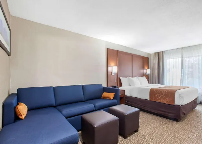 Hotel Comfort & Pinetop Show 3*