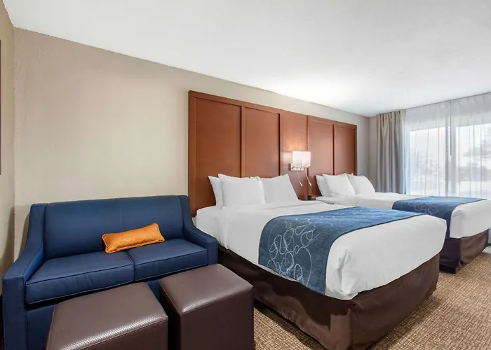 Hotel Comfort & Pinetop Show