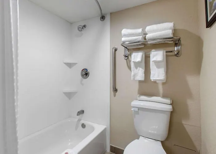 Hotel Comfort & Pinetop Show 3*