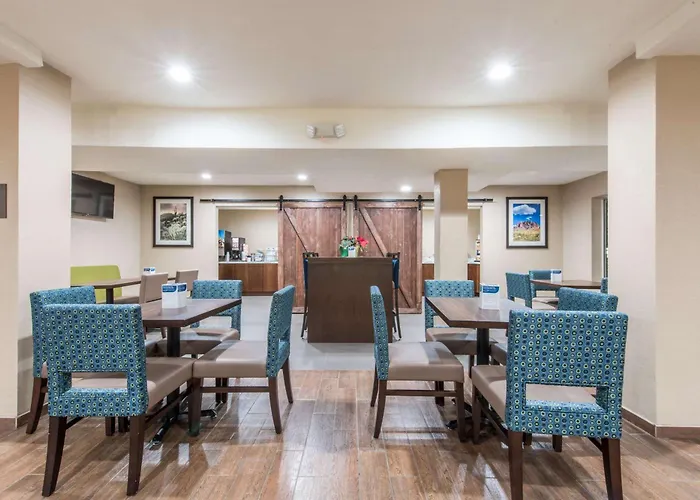 Comfort & Pinetop Show