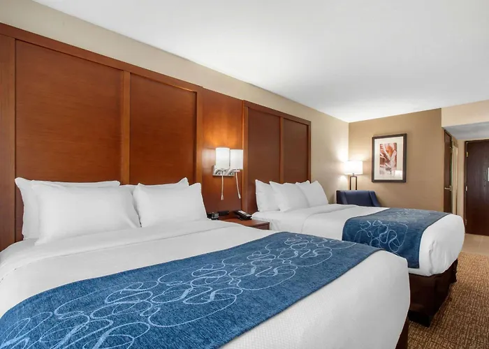 Hotel Comfort & Pinetop Show
