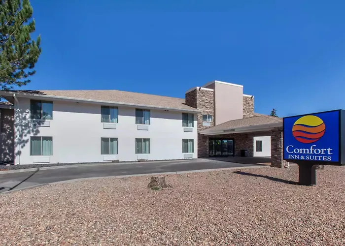 Comfort & Pinetop Show Hotel