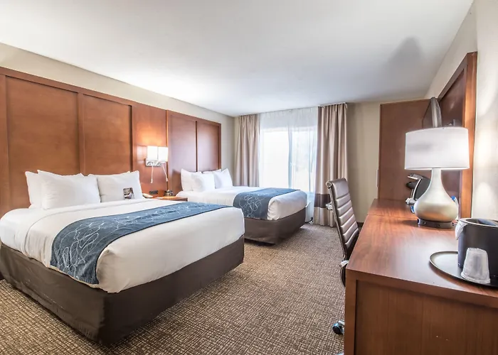 Comfort & Pinetop Show Lakeside