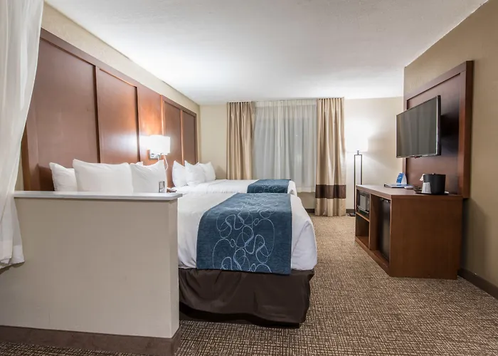 Comfort & Pinetop Show Lakeside