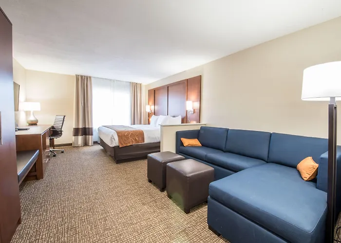 Hotel Comfort & Pinetop Show 3*