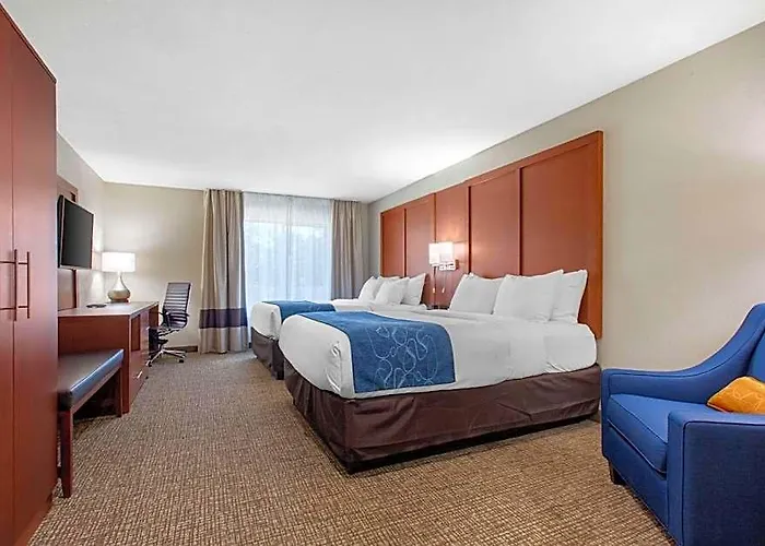 Comfort & Pinetop Show Lakeside