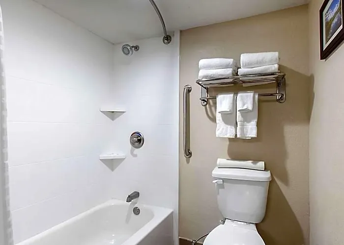 Comfort & Pinetop Show Hotel 3*