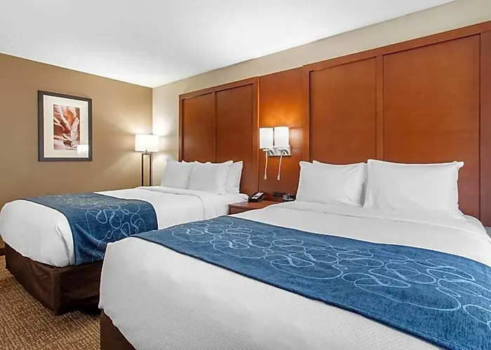 Hotel Comfort & Pinetop Show 3*