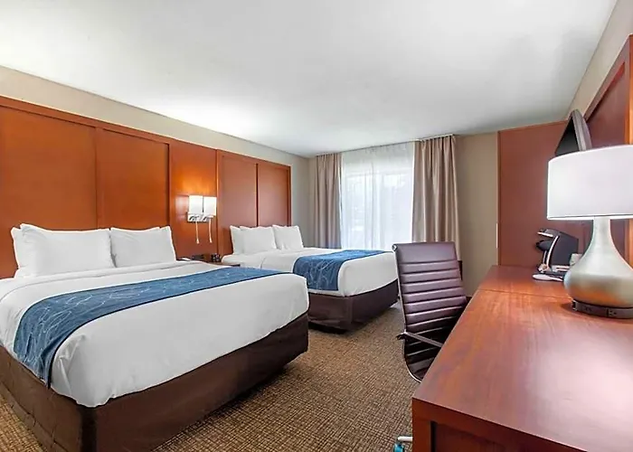 Hotel Comfort & Pinetop Show Lakeside