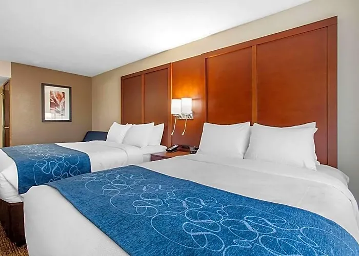 Hotel Comfort & Pinetop Show