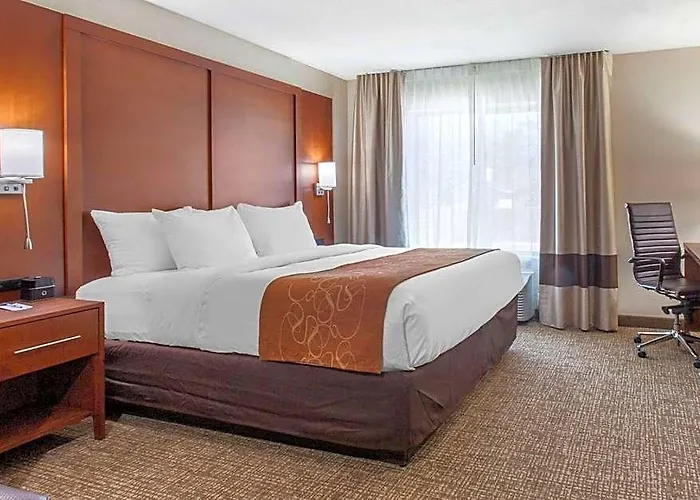 Hotel Comfort & Pinetop Show